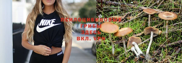 дживик Вяземский