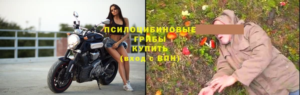 дживик Вяземский